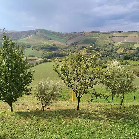 I Custodi Dell'uliveto Farma
